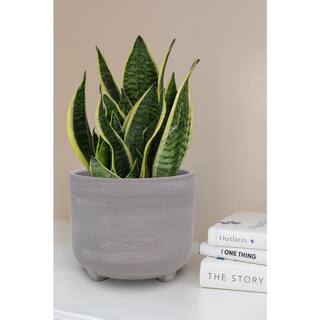 Trendspot 7 in. Ella Grey Ceramic Planter ECR01818N-07H