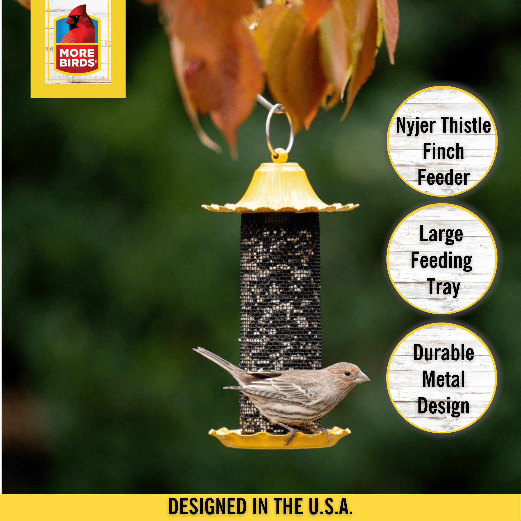 More Birds Little-Bit Finch Screen Bird Feeder， Wild Bird Feeder， .6 lb Seed Capacity