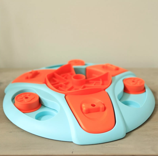 IQ Training and Cognitive Development: Brain-Boosting Dog Food Puzzle Toys