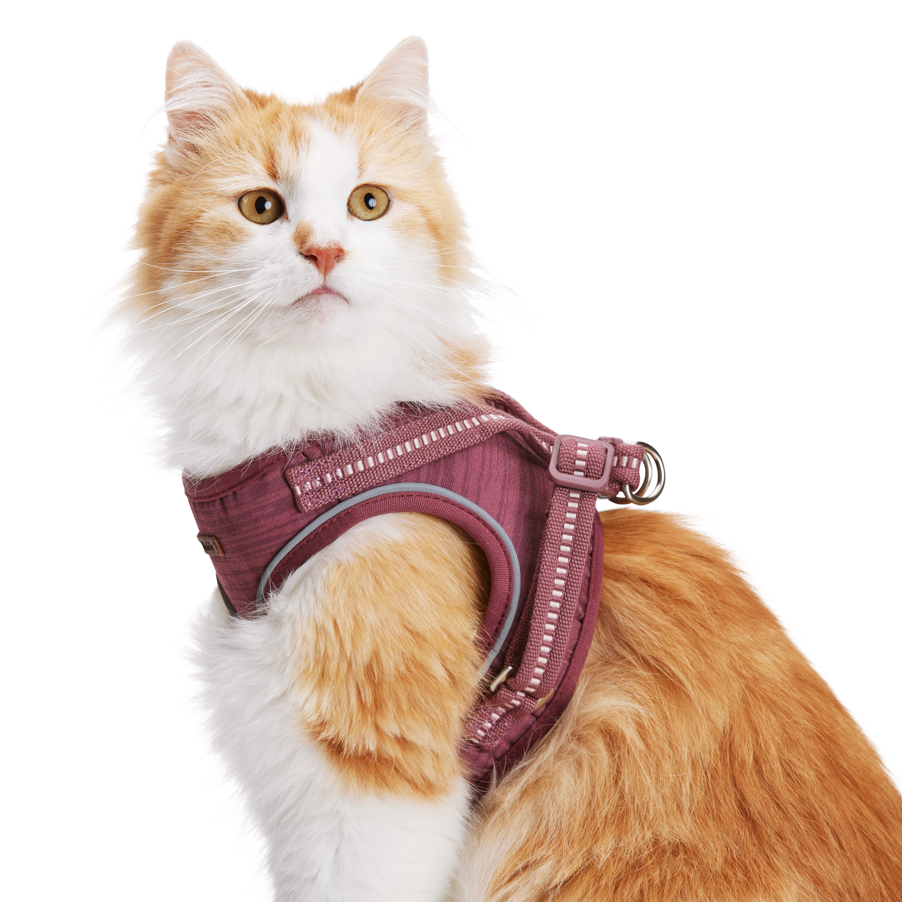 Reddy Rose Cat Harness Set， Small/Medium