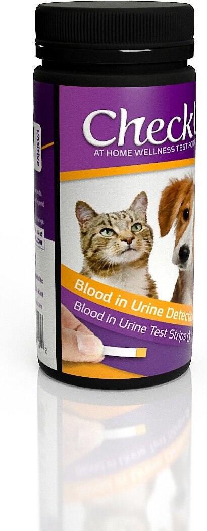 CheckUp Blood in Urine Detection Urine Testing for Dogs