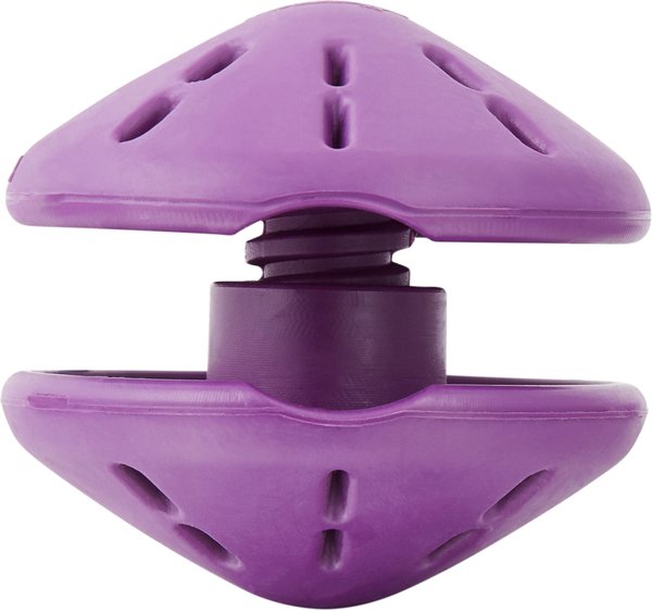 PetSafe Busy Buddy Twist 'n Treat Treat Dispenser Dog Toy