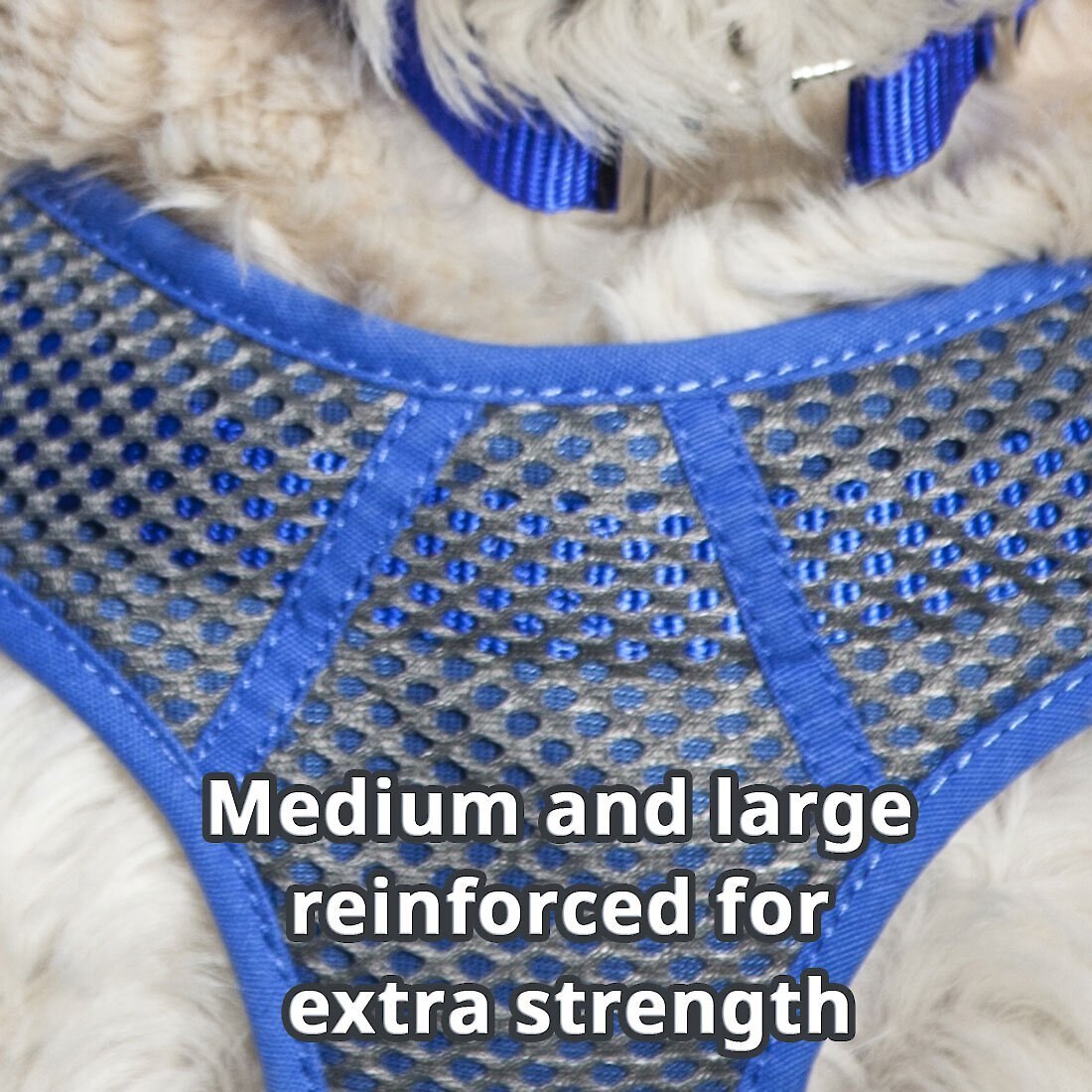 Comfort Soft Sport Wrap Back Clip Dog Harness