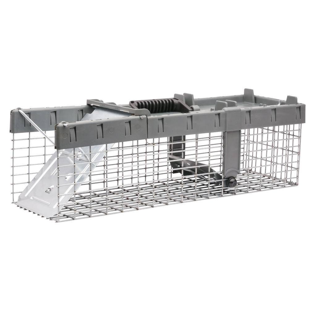 Havahart Small 1-Door Humane Live Catch and Release Animal Cage Trap for Squirrels Weasels Chipmunks 1026