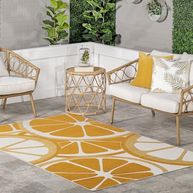 Nuloom Adira Orange Slices Indoor outdoor Area Rug