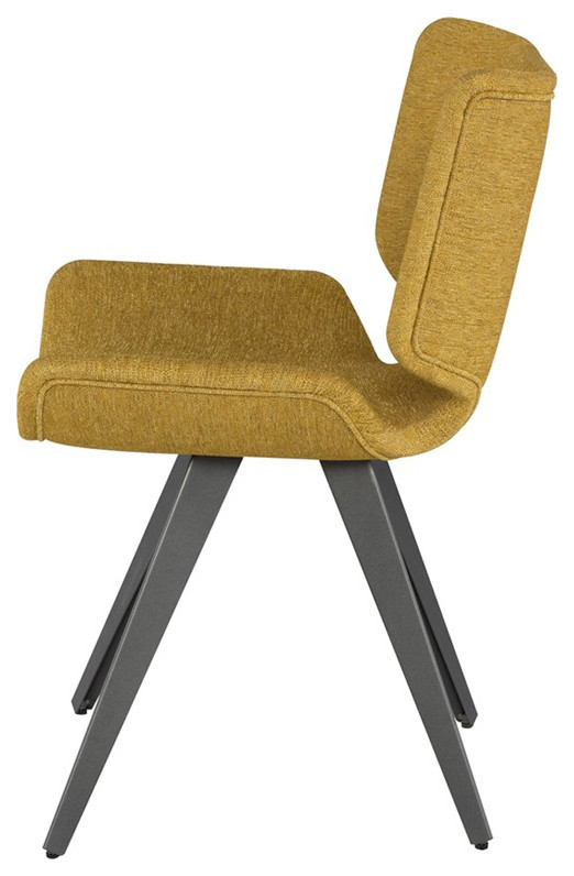 Jadon Dining Chair   Contemporary   Dining Chairs   by V.S.D Furniture  Houzz