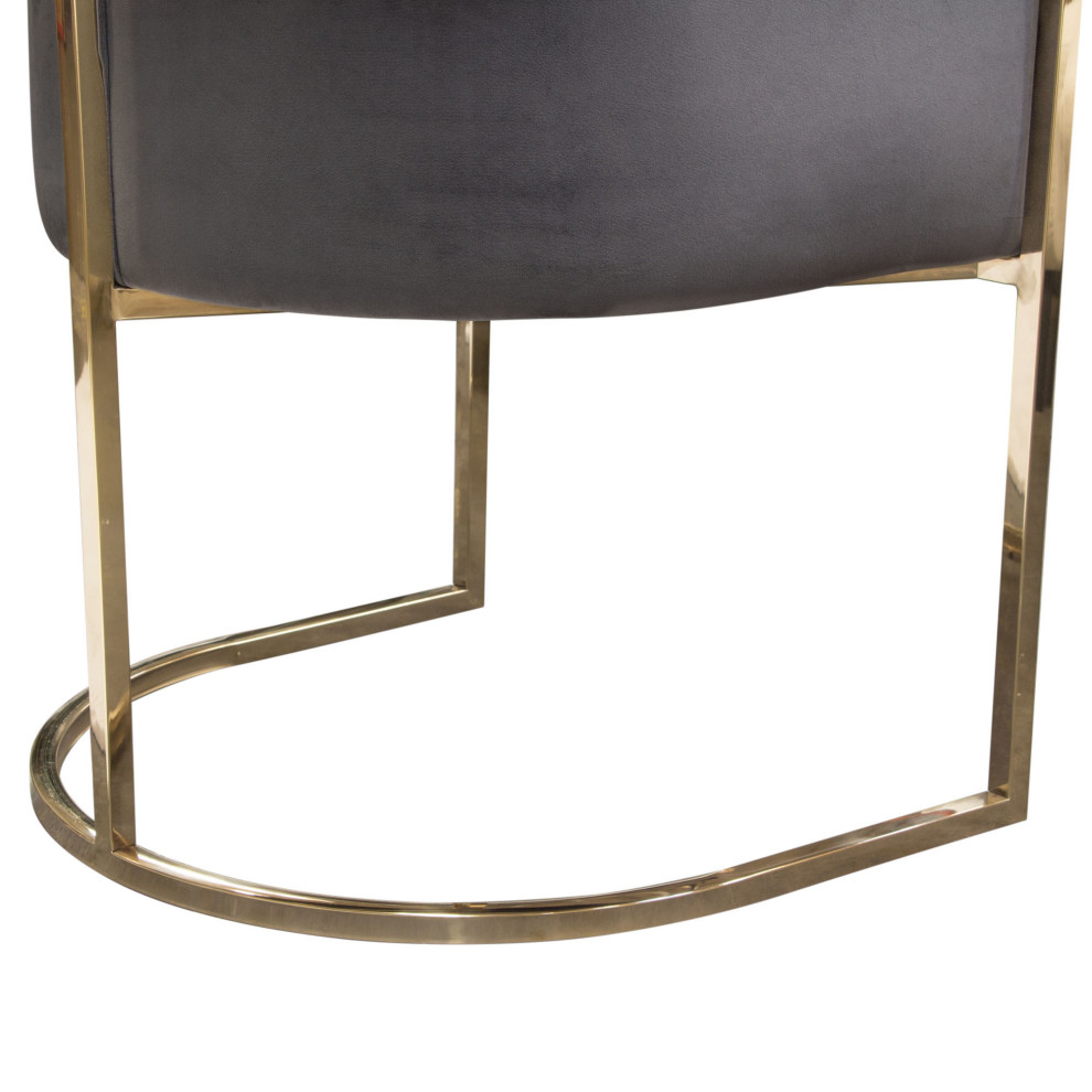 Pandora Dining Chair  Gray Velvet With Polished Gold Frame by Diamond Sofa   Contemporary   Dining Chairs   by Morning Design Group  Inc  Houzz