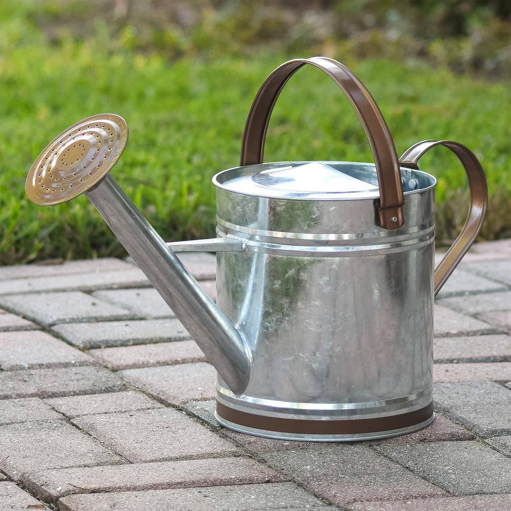 Arcadia Garden Products Classic 2.6 Gal. Chrome Metal Watering Can WC14