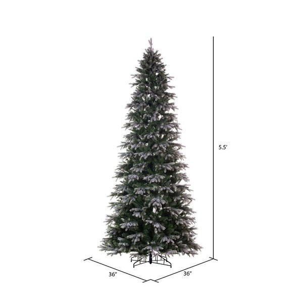 Vickerman 5.5' x 36 Frosted Douglas Fir Artificial Slim Unlit Christmas Tree.