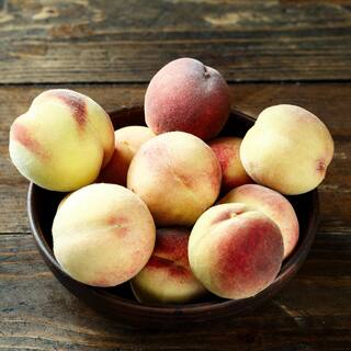 Perfect Plants 4-5 ft. Tall Tropic Snow Peach Tree Low Chill Hour White peach Variety THD00576