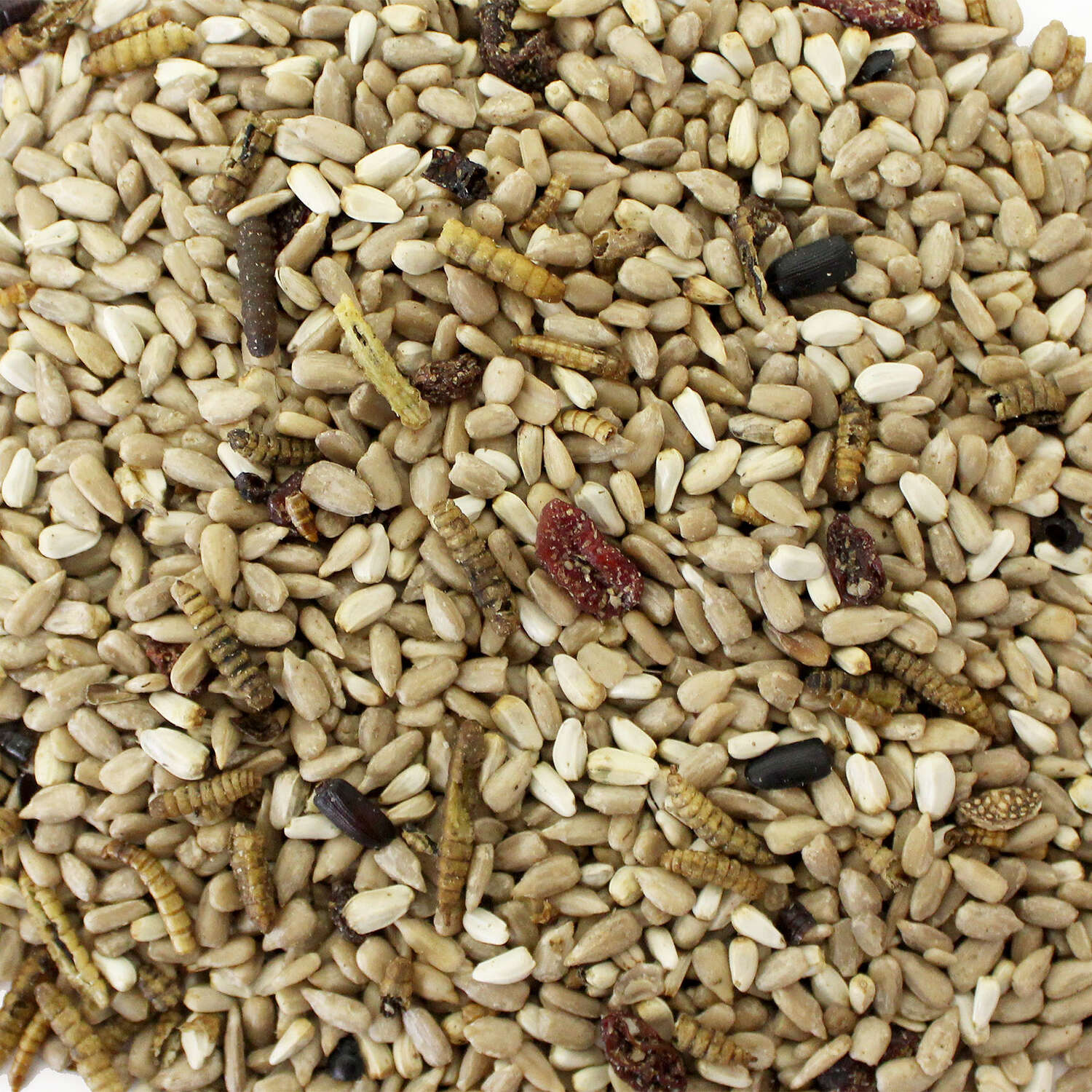 Wild Delight Bugs N Berries Assorted Species Safflower Seeds Wild Bird Food 4.5 lb