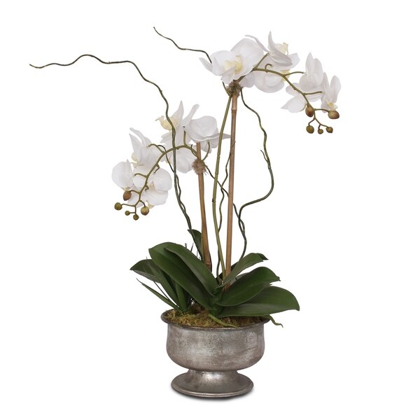 Real Touch White Orchids with Succulent in Silver Aged Metal Pot