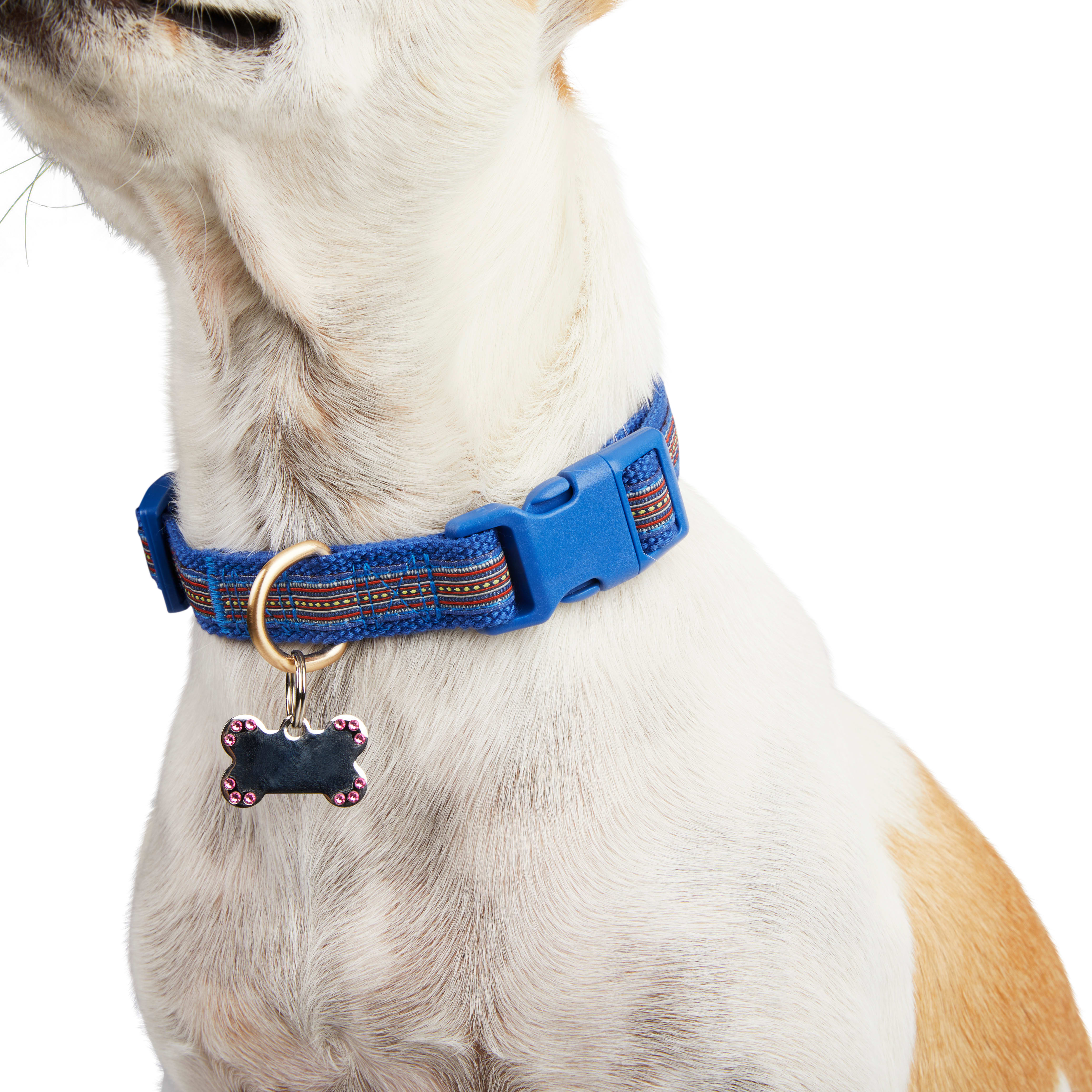 YOULY The Wanderer Blue Stitched Dog Collar， Small