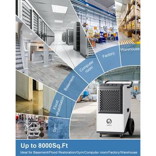 JEREMY CASS 250 pt. 8000 sq.ft. Commercial Dehumidifier for Basement in White High Efficiency Compressor GZBA031603