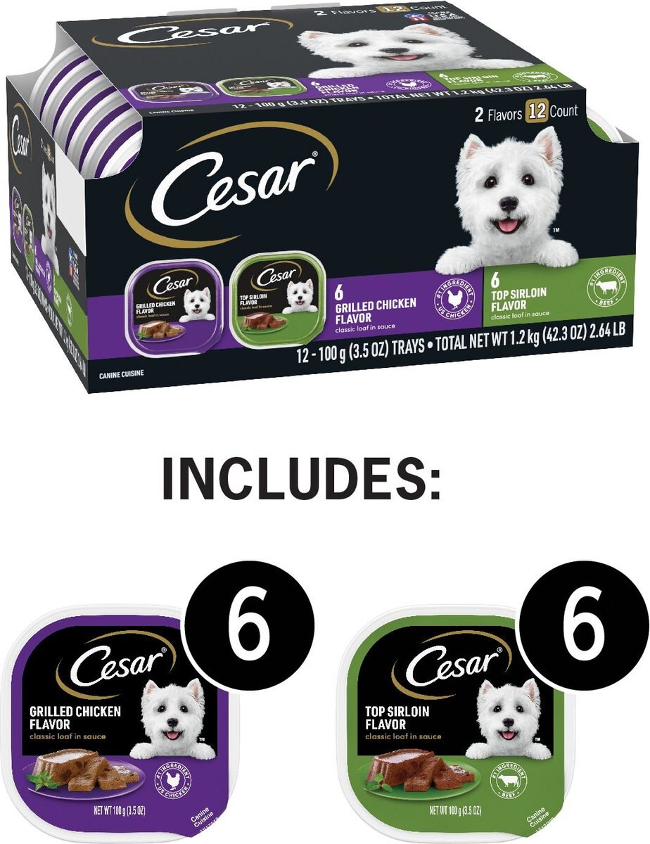 Cesar Classic Loaf in Sauce Top Sirloin and Grilled Chicken Flavors Variety Pack Dog Food Trays