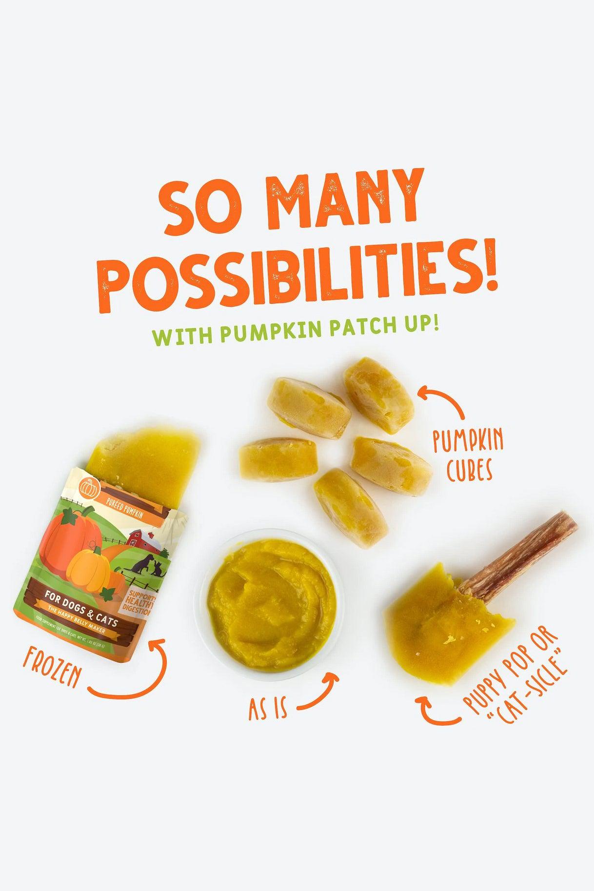 Weruva Pumpkin Patch Up! Ginger and Turmeric Supplement for Cats