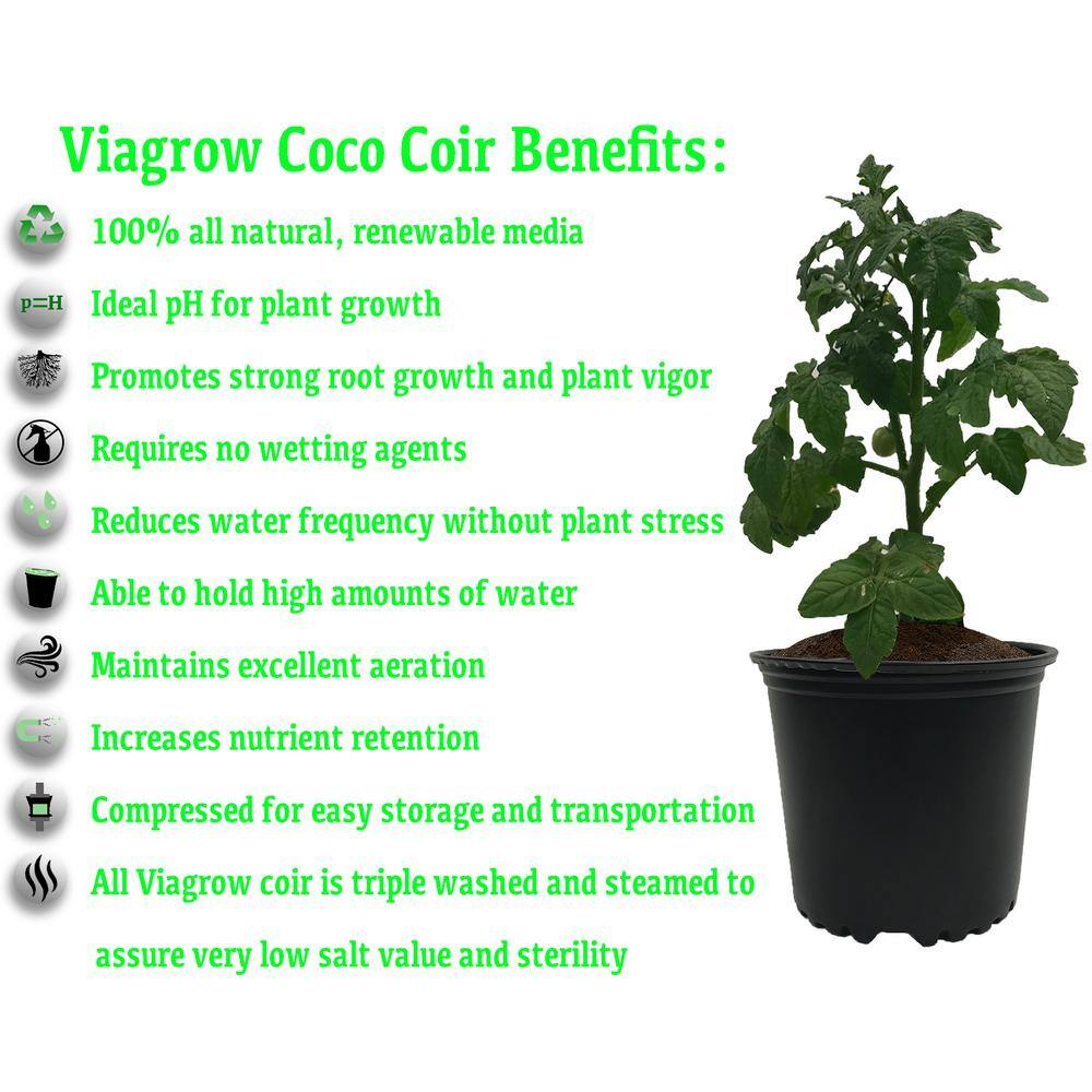 Viagrow 11 lb. (5KG) Coconut Coir Block of Soilless Media VCCB5