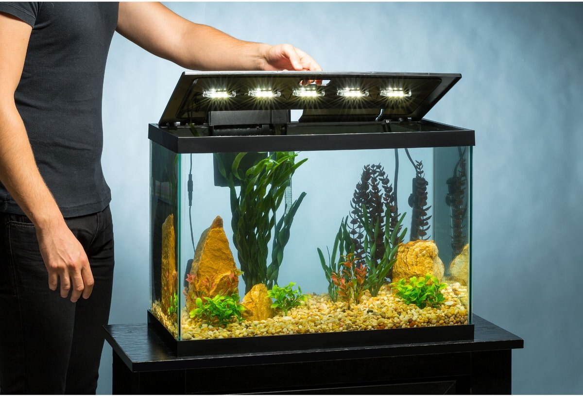 Tetra Aquarium + LED Lighting and Decor Fish Aquariums， 20-gal