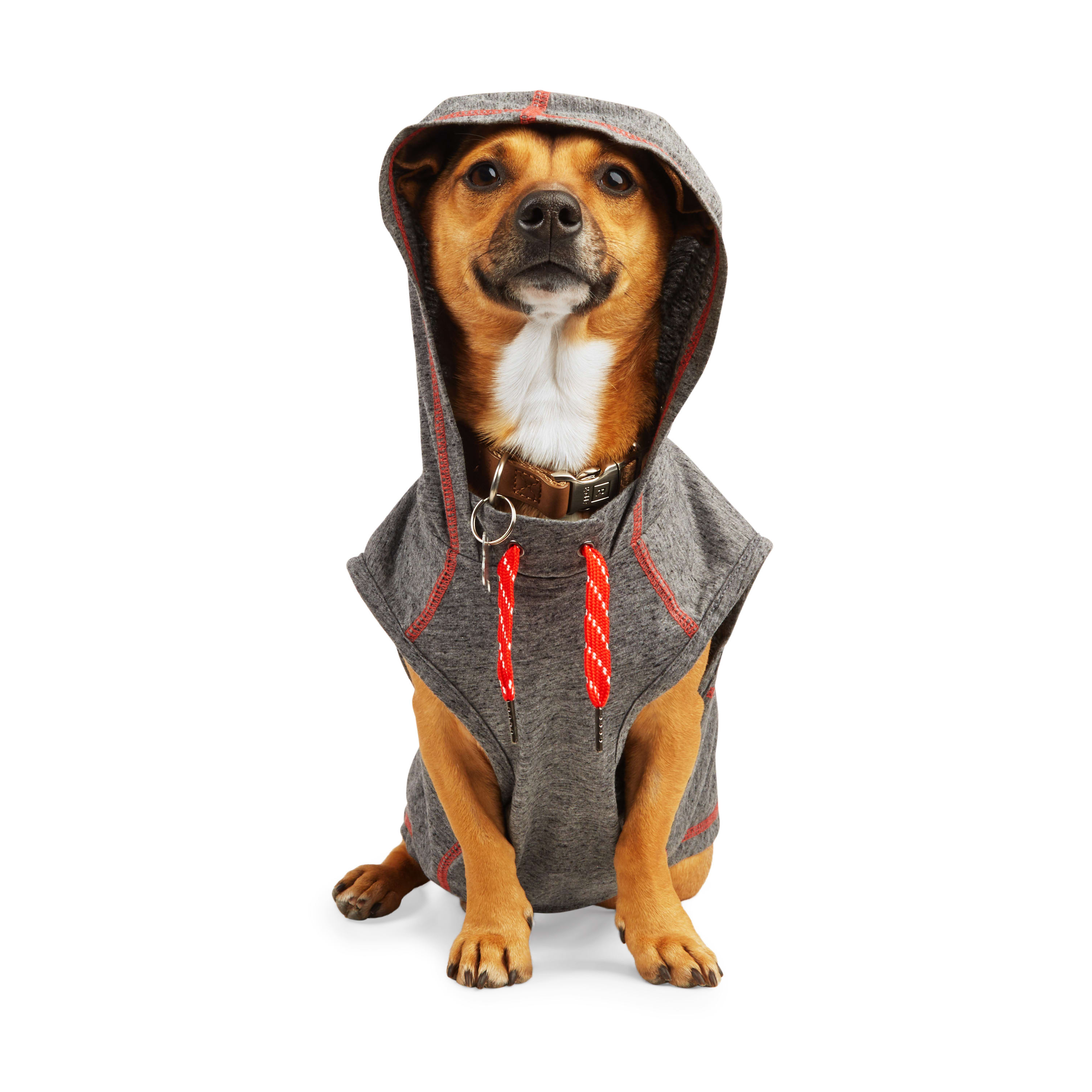 Reddy Black Hooded Tank for Dogs， X-Small