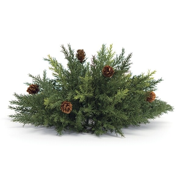 Arborvitae Half Orb 13D