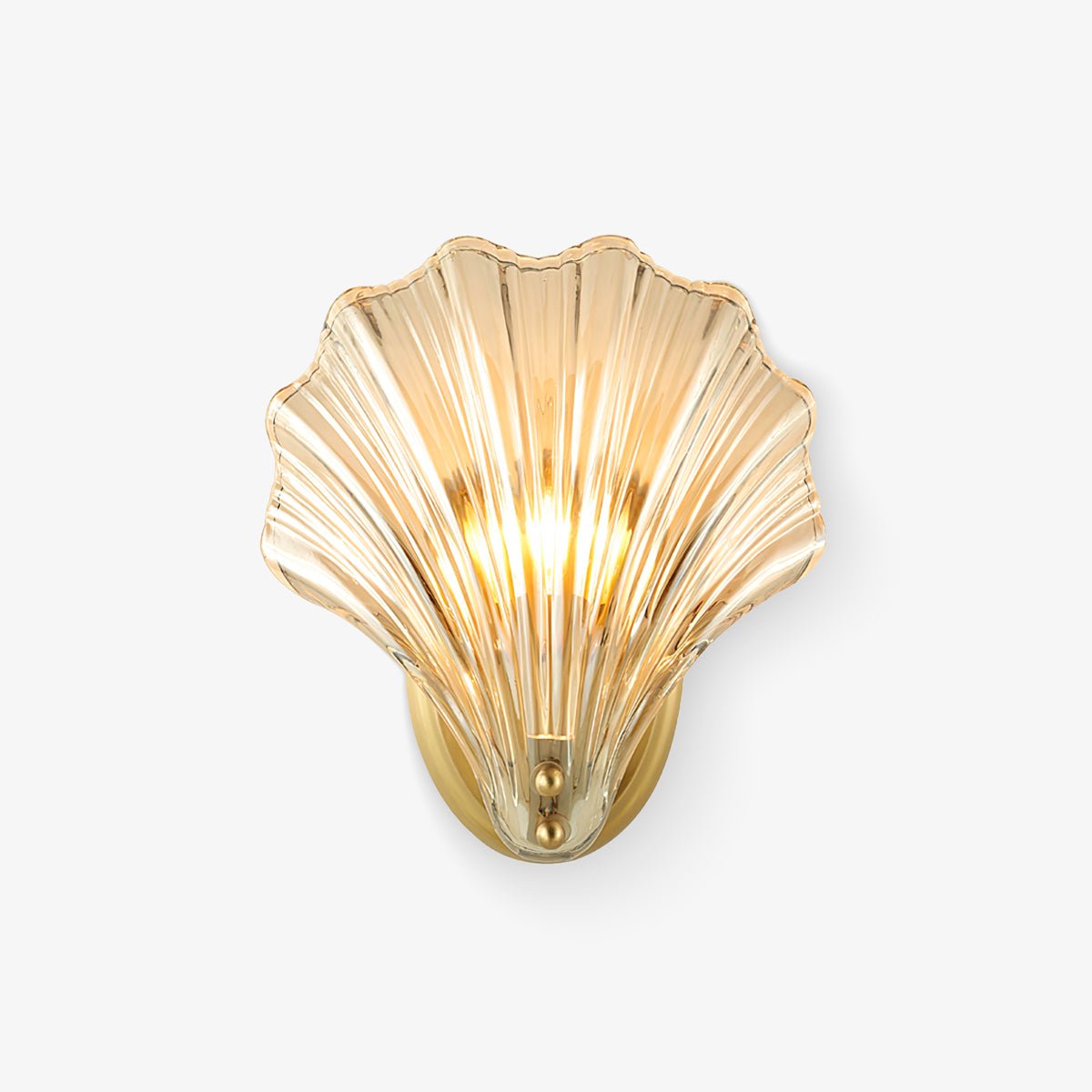 Shell Wall Light