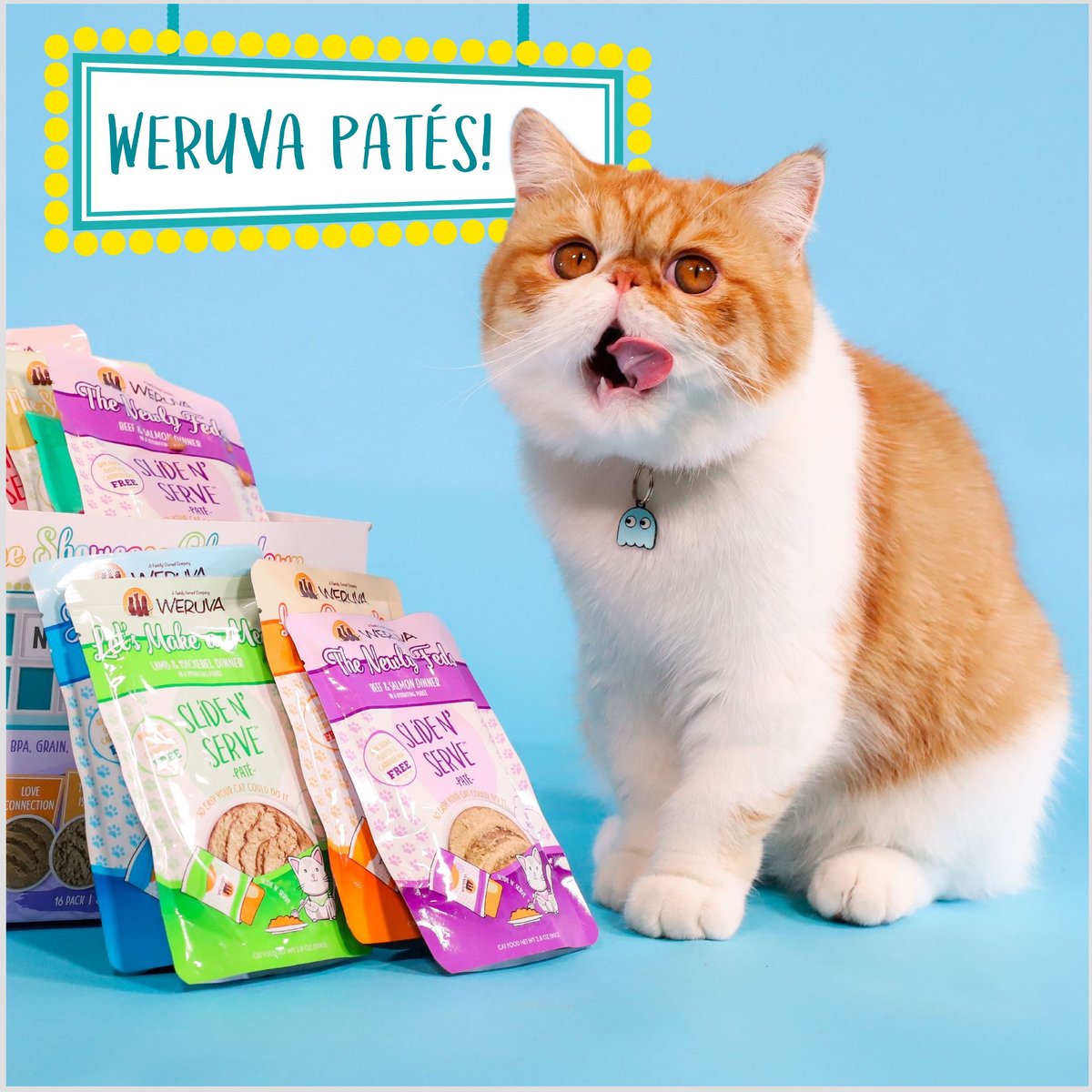 Weruva Slide N' Serve Family Food Chicken Breast Dinner with Tuna Pate Grain-Free Cat Food Pouches