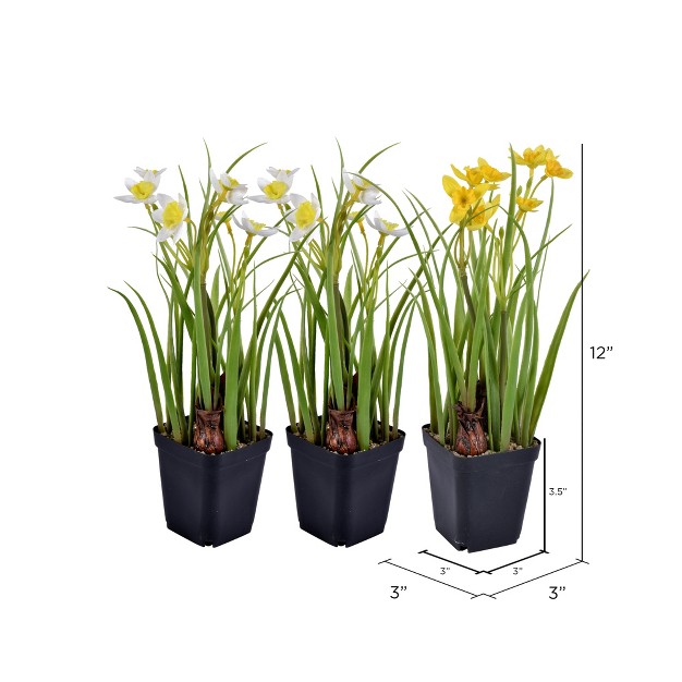 Artificial Daffodils In Black Plastic Planters Pots Set Of 3