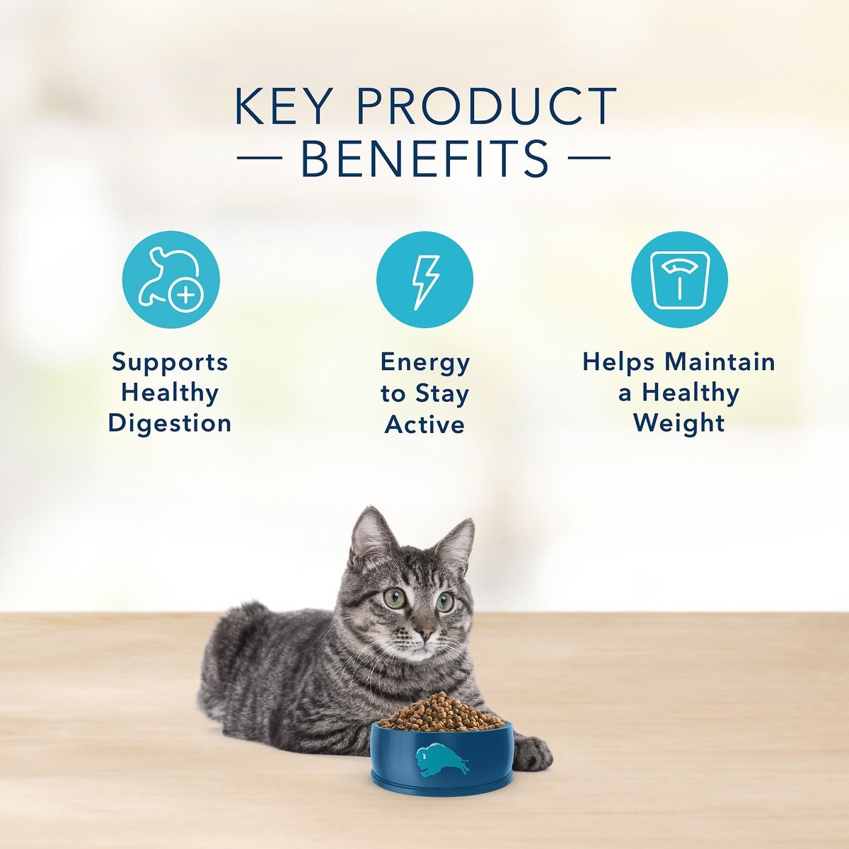 Blue Buffalo Basics Skin and Stomach Care Grain-Free Formula Turkey and Potato Indoor Mature Dry Cat Food