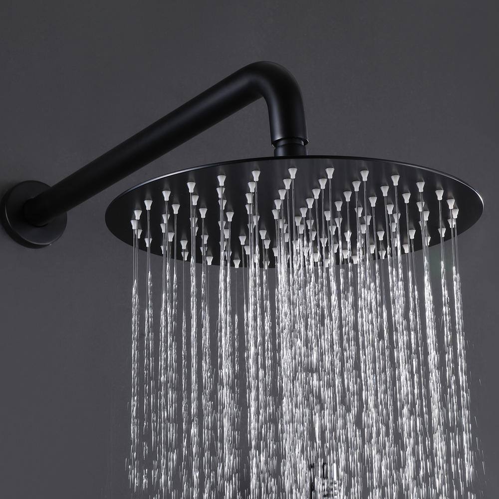 WELLFOR 1-Spray Patterns with 2.5 GPM 10 in. Wall Mounted Dual Shower Heads in Matte Black (Valve Included) WB-H#RB0824