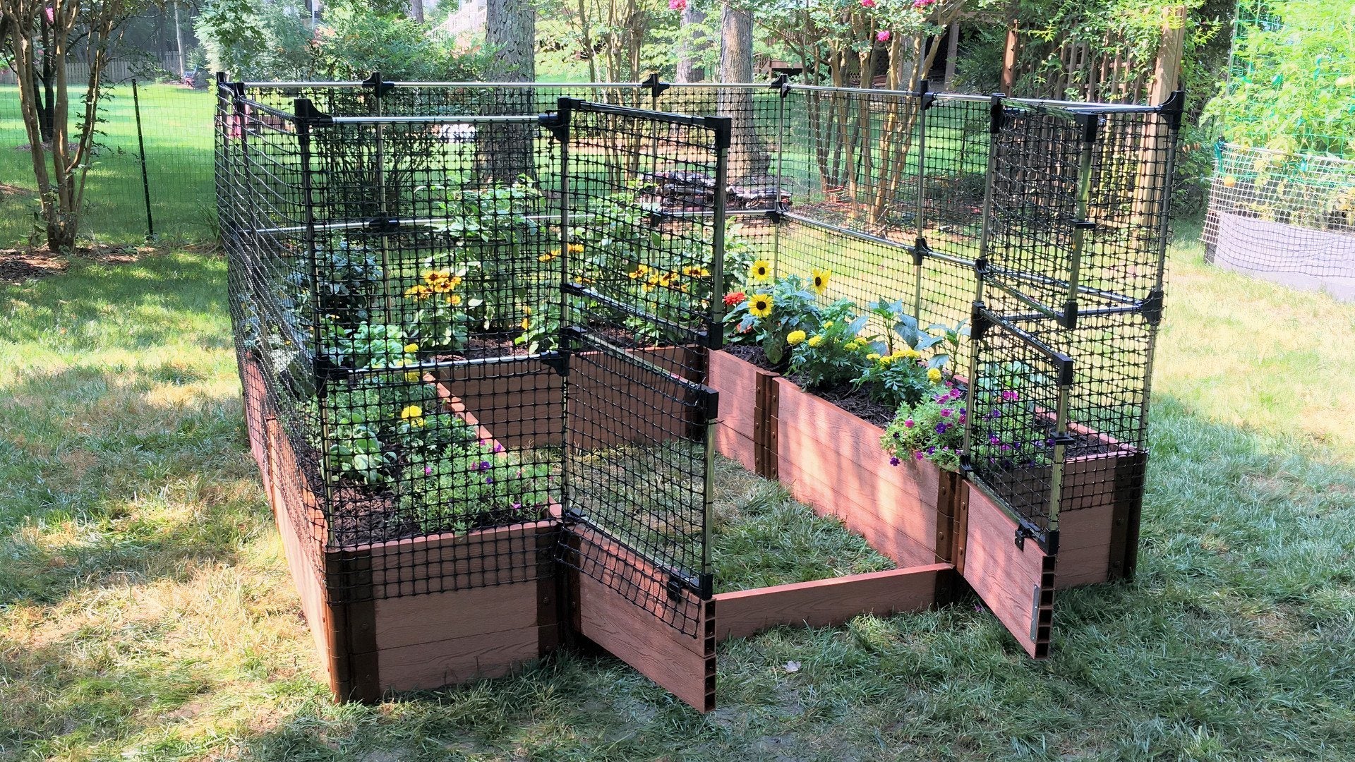 Walk-In 'Alamo' 8' x 8' Animal Barrier Raised Garden Bed - 2