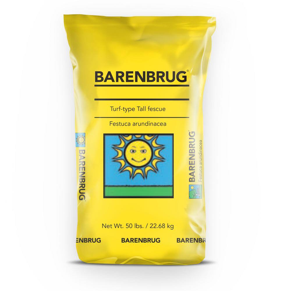 Barenbrug 50 lb. Barvado Tall Fescue Grass Seed 25079