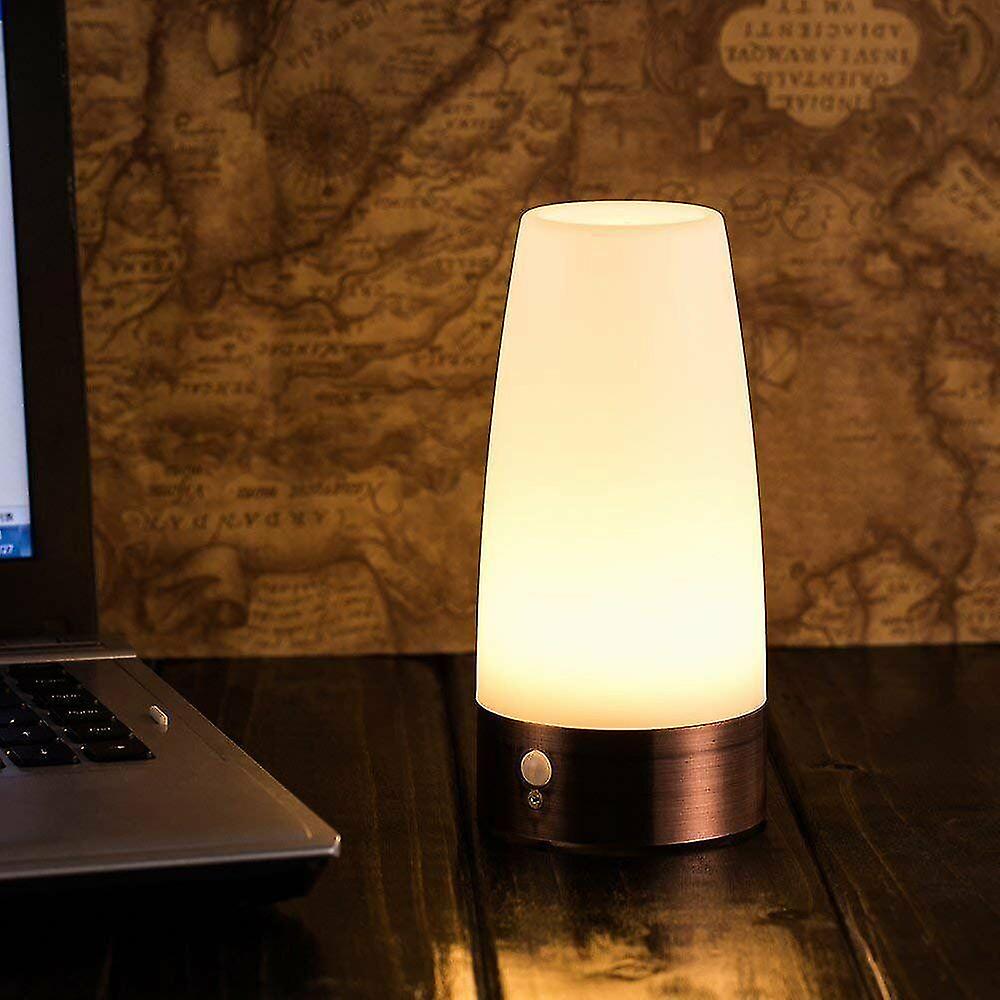 Portable Touch Sensor Night Lights Battery Powered Bedside Warm Table Lamp