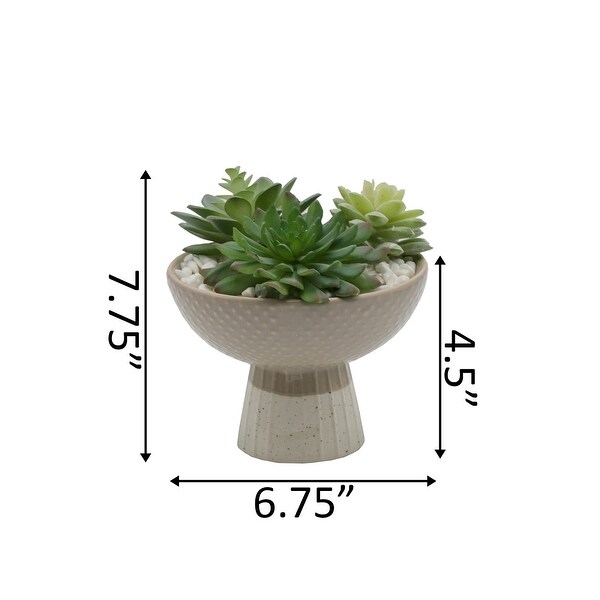 Artificial Plant Succulent Mix in Two Tone Bowl Ceramic Planter