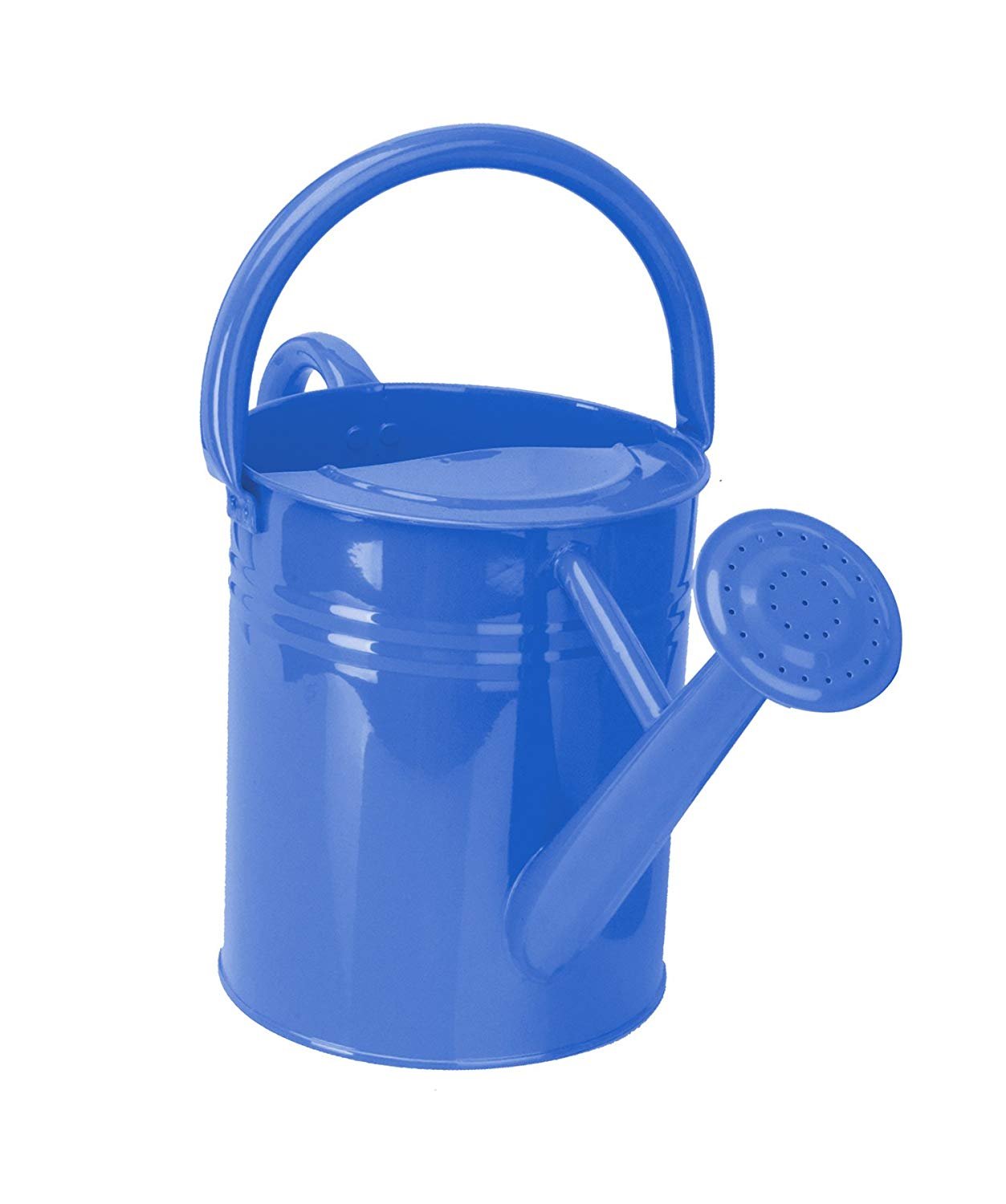 Panacea Watering Can