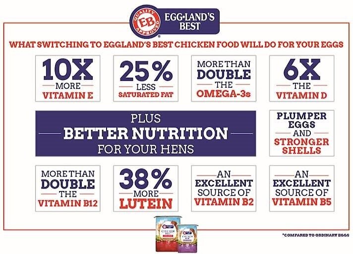 Eggland's Best 17% Protein Organic Layer Crumbles Chicken Feed