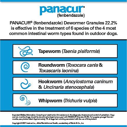 Panacur Powder for Dogs