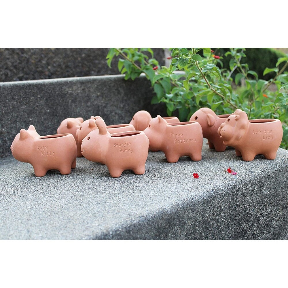 Set of 8 Adorable Terracotta Mini Animal Shaped pots   3.5\