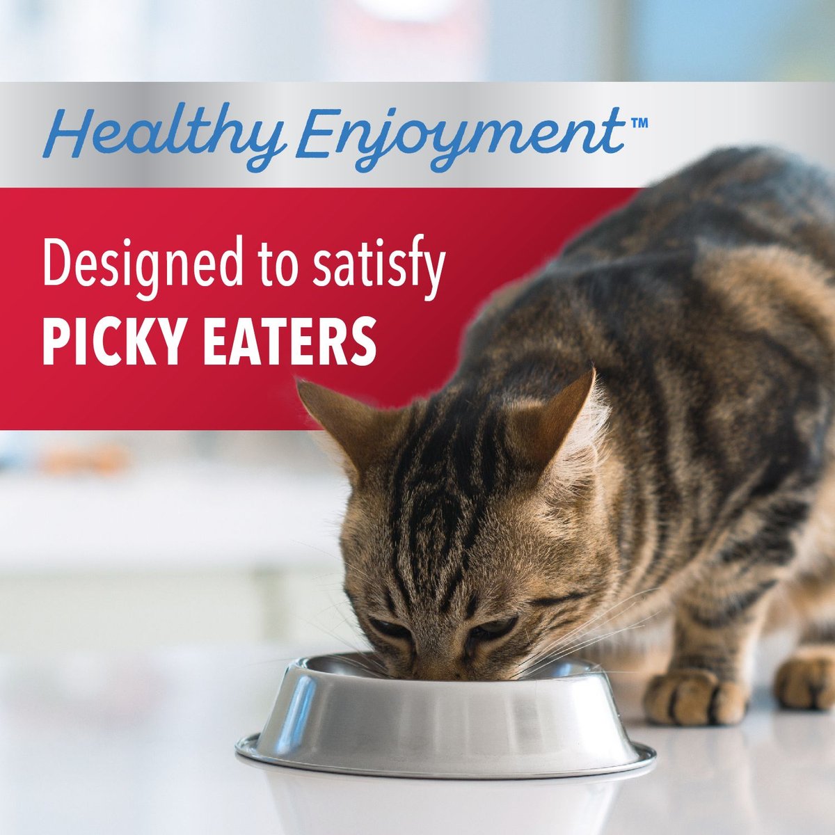 Iams Proactive Health Healthy Enjoyment Immune Support Chicken and Beef Adult Dry Cat Food