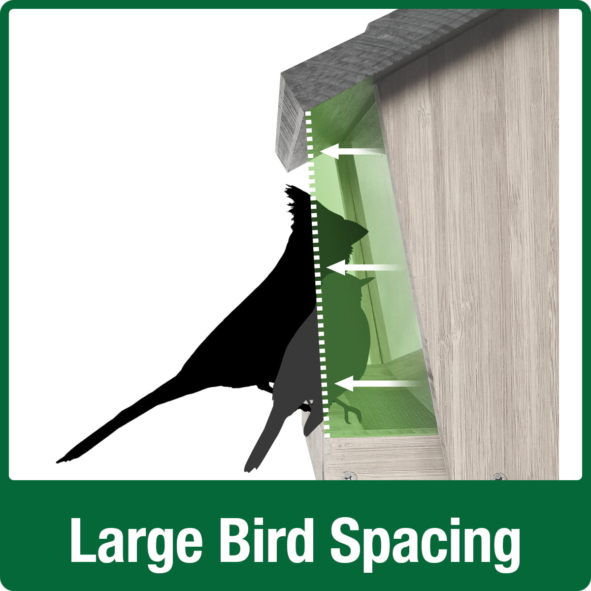 Wild Wings Cedar Hopper Bird Feeder with Suet Cages， 3 Quart