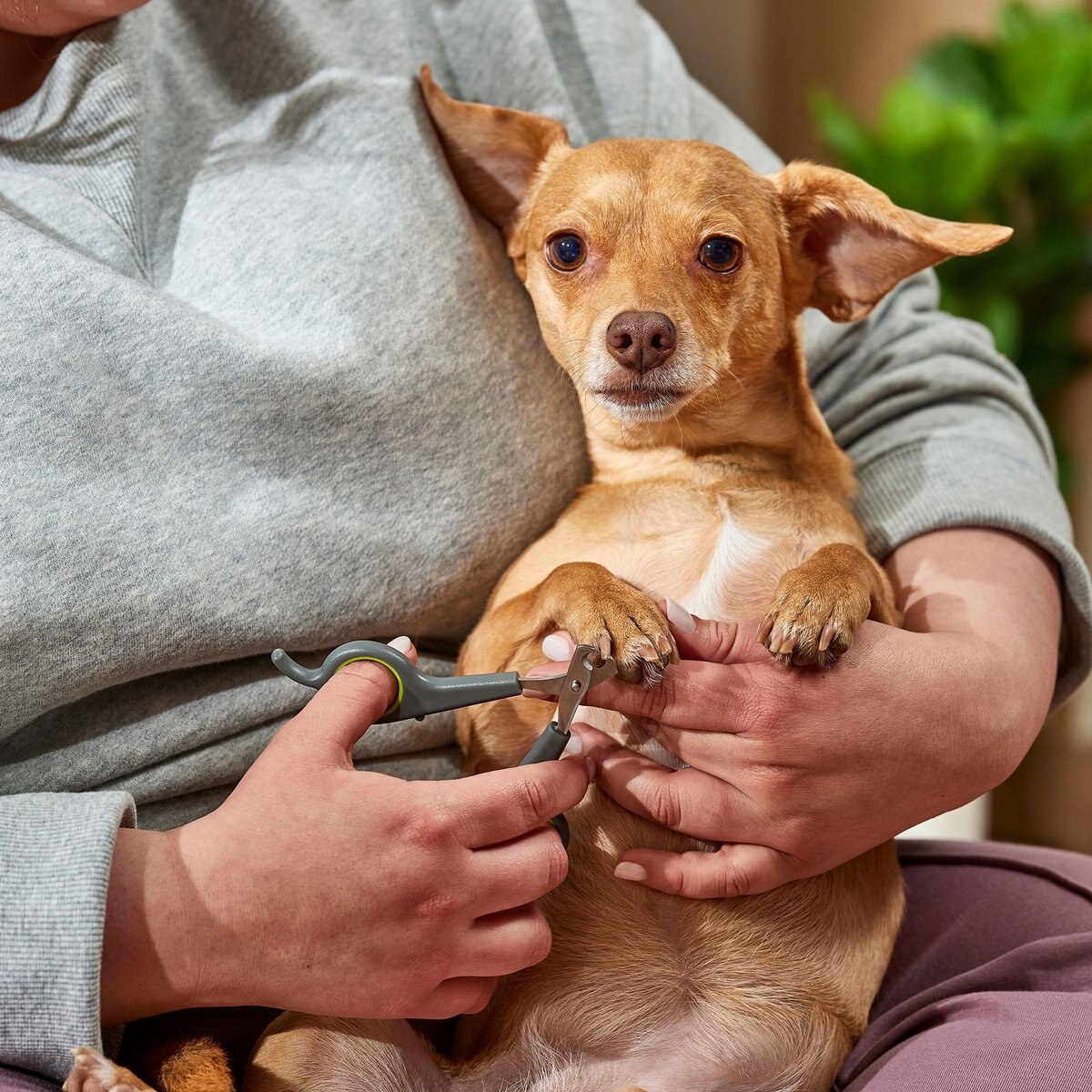 Frisco Dog and Cat Nail Clippers