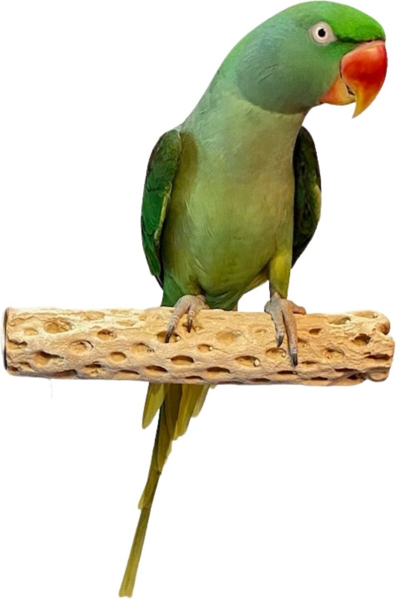 Polly's Pet Products Manu Mineral Bird Perch