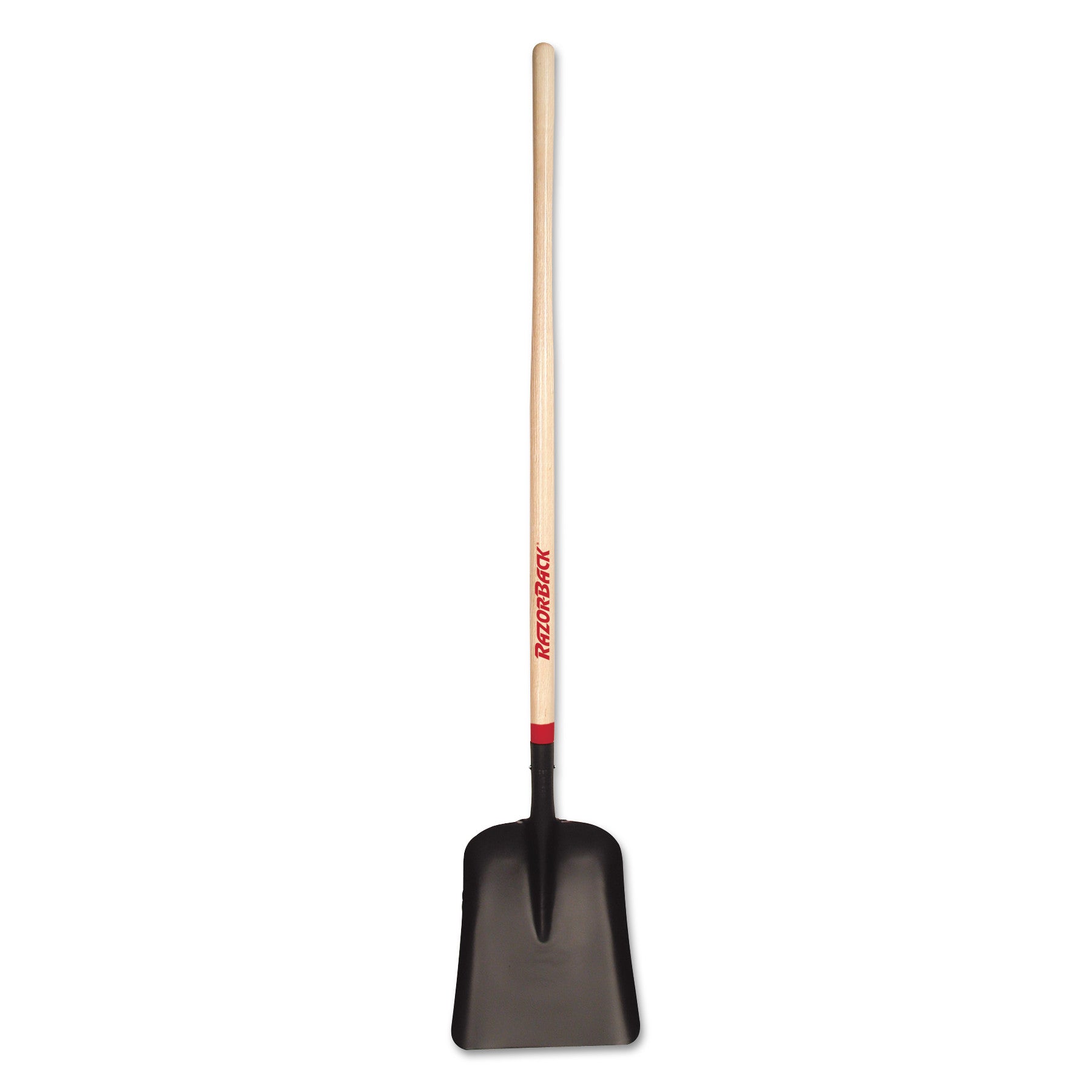 Ames Razorback Steel 11 in. W x 58.75 in. L Square Point Shovel Wood