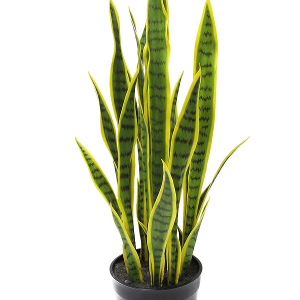 32in Green Yellow Artificial Sansevieria Snake Plant in Black Pot