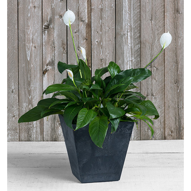 Novelty Black ArtStone Ella Square Planter - 12 Inch