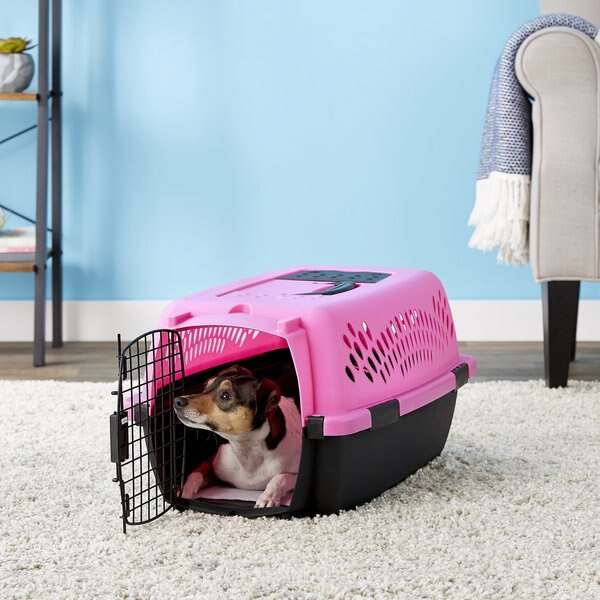 Aspen Pet Dog and Cat Kennel， Color Varies