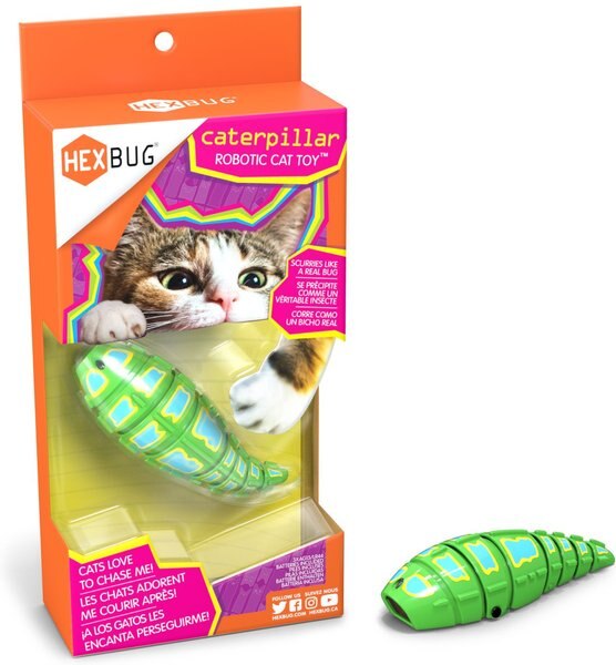 Hexbug Caterpillar Cat Toy