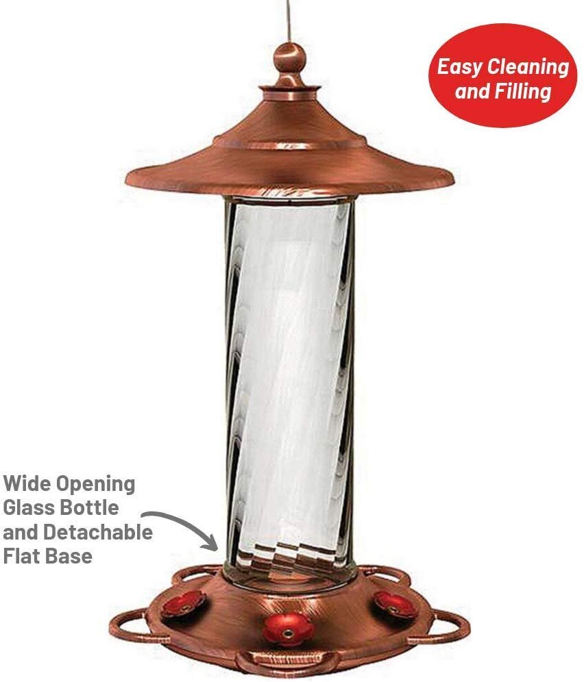 More Birds Glory Hummingbird Feeder， 5 Feeding Ports and 14 Ounce Nectar Capacity