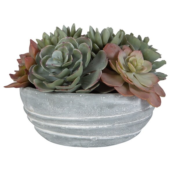 Uttermost Peoria Succulent Accent