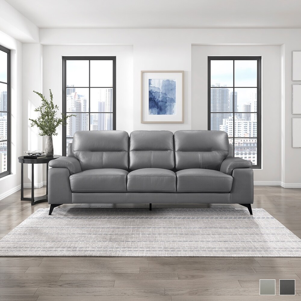 Socorro Contemporary Leather Sofa