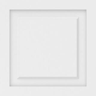 Ekena Millwork 58 in. x 20 in. x 20 in. Harrison Raised Panel White PVC Decorative Wall Panel WALP20X20X062HAR